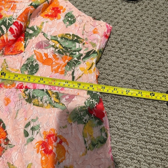 A109 DB Studio Floral Lace Fit Flare A line Dress Sz 18 Pink Spring - Picture 6 of 8